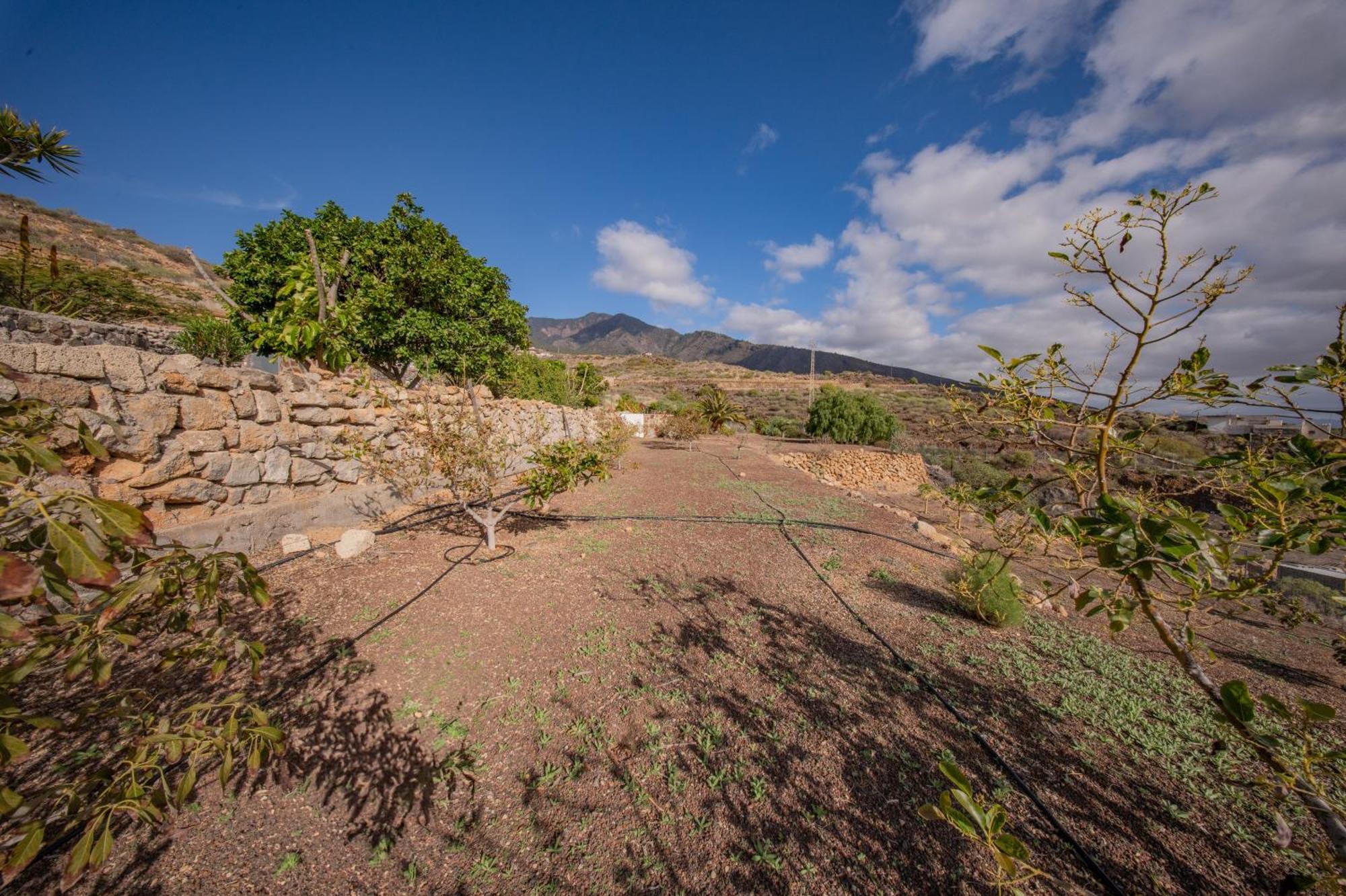 Casa Rural Buda Terra Santa Cruz de Tenerife Kültér fotó