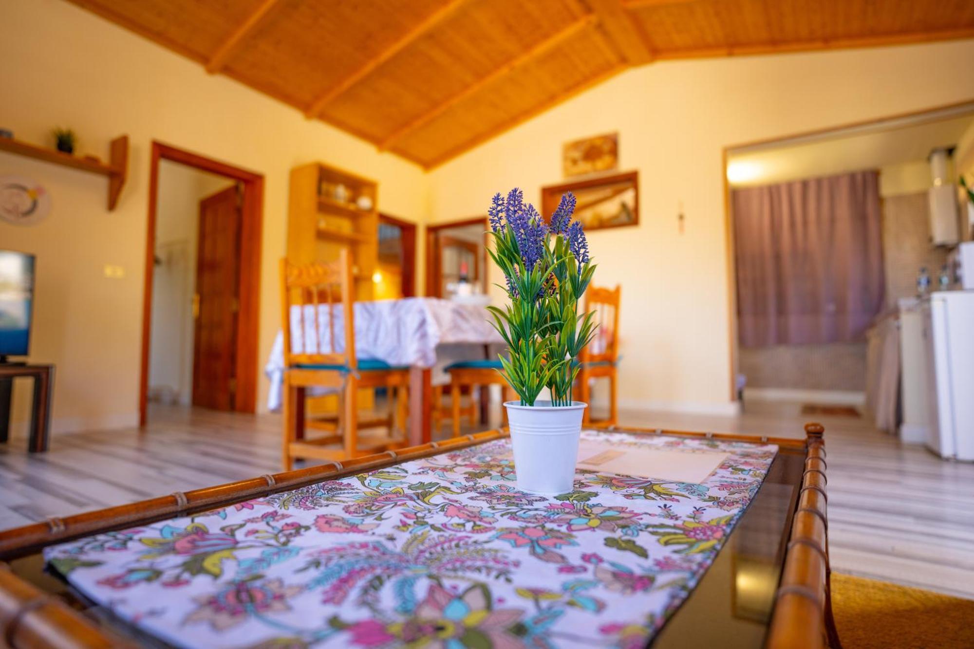 Casa Rural Buda Terra Santa Cruz de Tenerife Kültér fotó